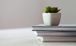 Jak pisać meta description szkoły prywatnej – SEO copywriting który zwiększa kliknięcia w Google